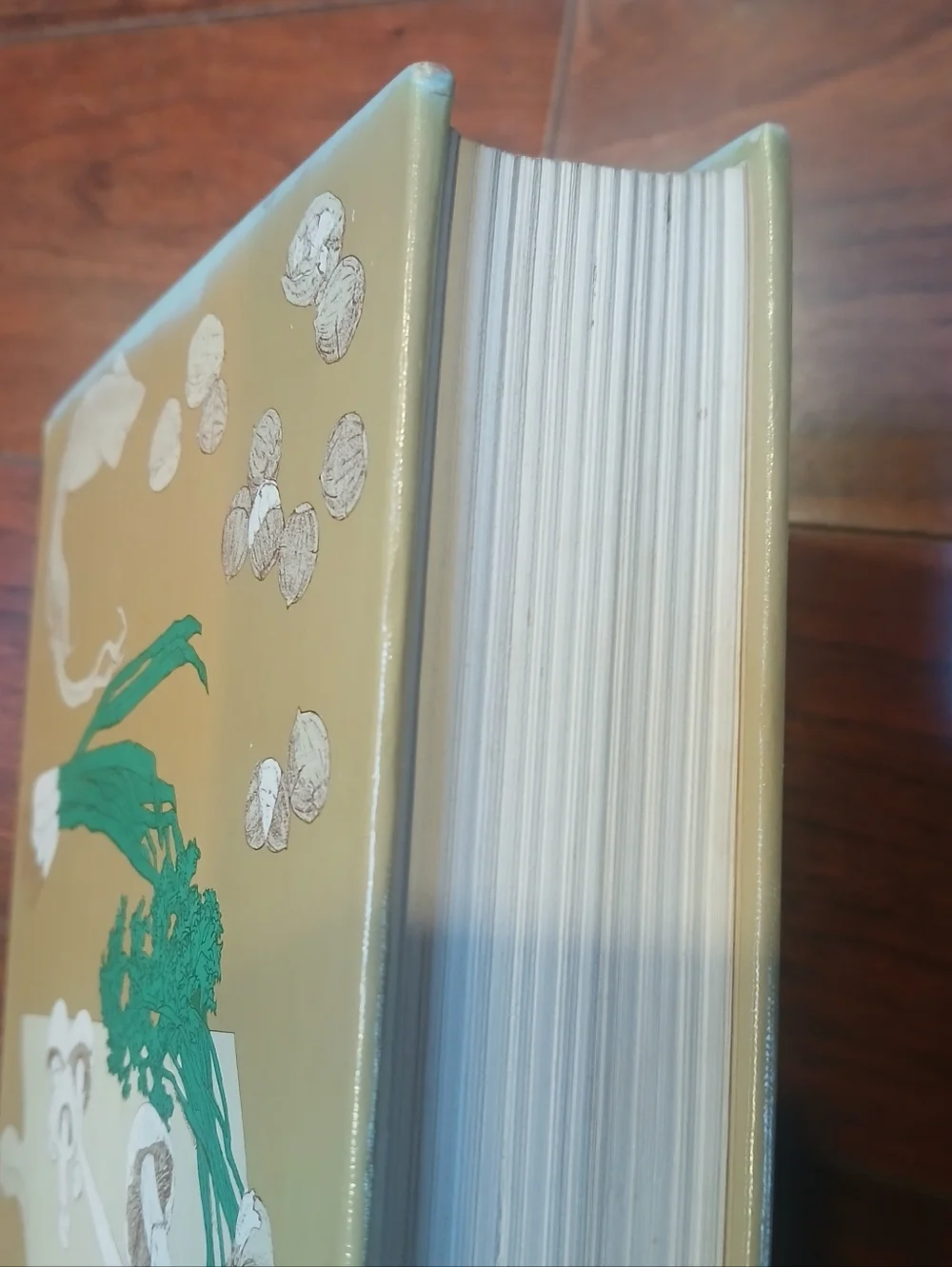 More Classic Italian Cooking by Marcella Hazan (1978, Hardcover) 5th Printing